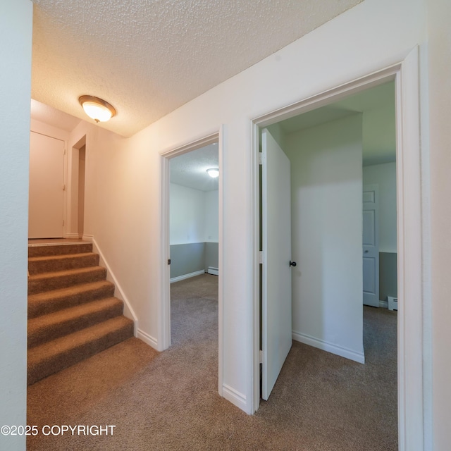 10121 Goodnews Ln, Anchorage, AK 99515 - photo 3