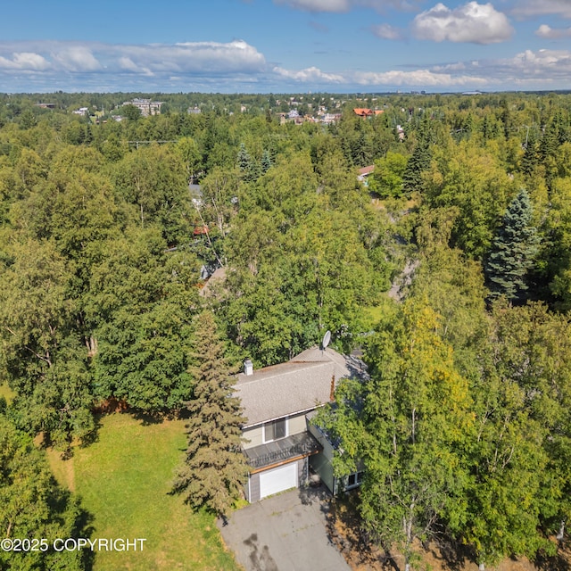 10121 Goodnews Ln, Anchorage, AK 99515 - photo 25