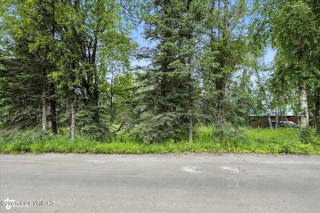 36480 Eddy Ln, Soldotna, AK 99669 - photo 6