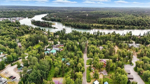 36480 Eddy Ln, Soldotna, AK 99669 - photo 8