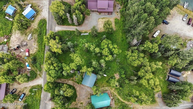 36480 Eddy Ln, Soldotna, AK 99669 - photo 11