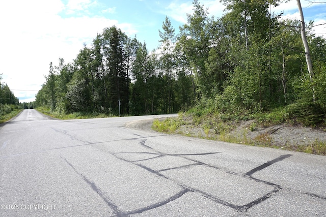 27021 W Mishap Ave, Willow, AK 99688 - photo 15