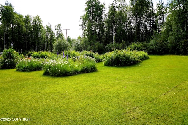 27021 W Mishap Ave, Willow, AK 99688 - photo 7