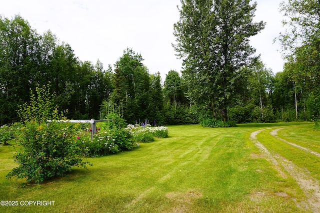 27021 W Mishap Ave, Willow, AK 99688 - photo 6