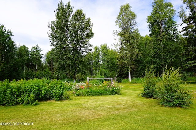 27021 W Mishap Ave, Willow, AK 99688 - photo 5