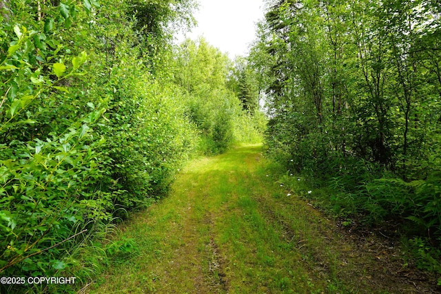 27021 W Mishap Ave, Willow, AK 99688 - photo 11