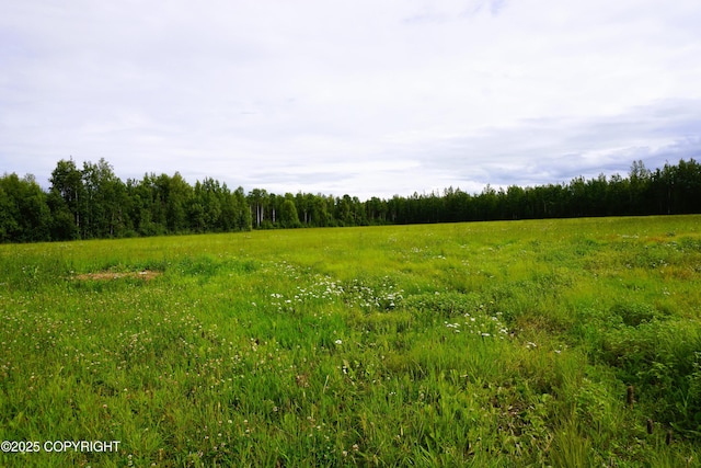 27021 W Mishap Ave, Willow, AK 99688 - photo 8