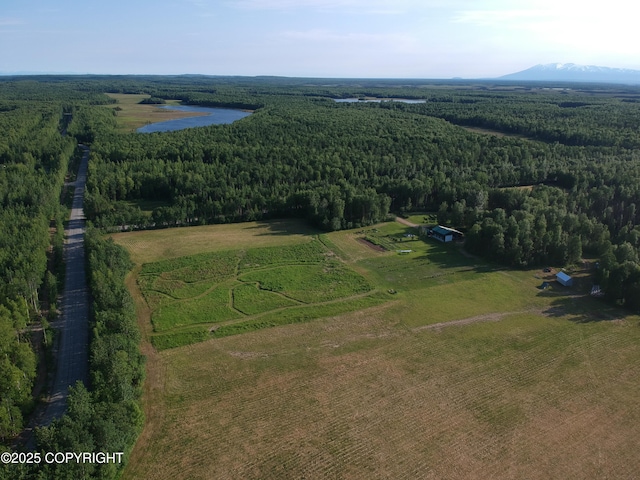 27021 W Mishap Ave, Willow, AK 99688 - photo 18