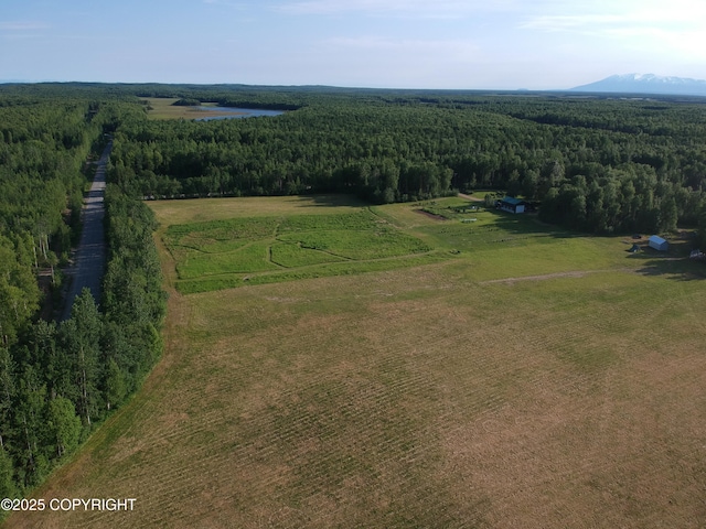 27021 W Mishap Ave, Willow, AK 99688 - photo 19