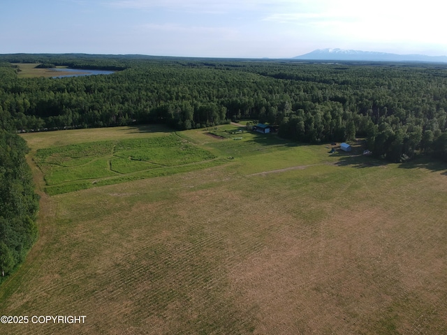 27021 W Mishap Ave, Willow, AK 99688 - photo 20