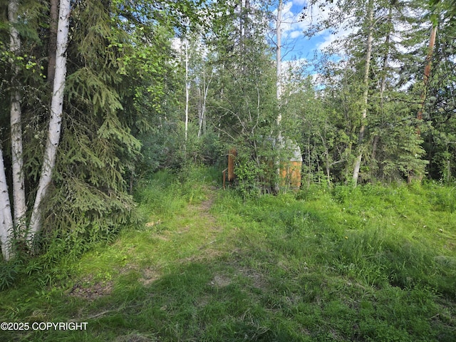 1269 Helios Ave, Fairbanks, AK 99709 - photo 8