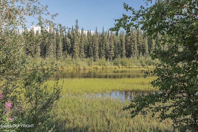 1244 Candle Lite Loop, North Pole, AK 99705 - photo 26