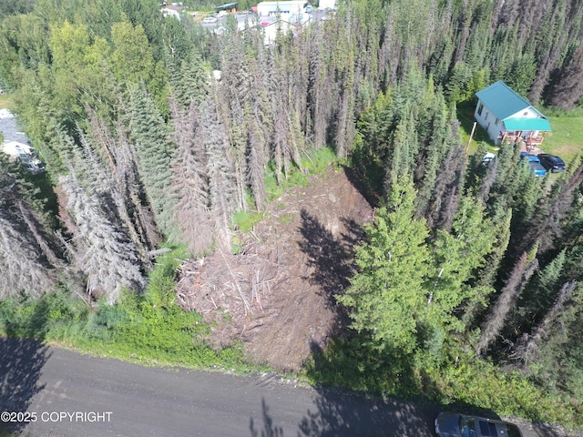 34076 Humecky Cir, Soldotna, AK 99669 - photo 3