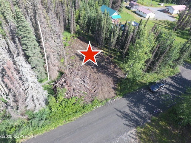 34076 Humecky Cir, Soldotna, AK 99669 - photo 2