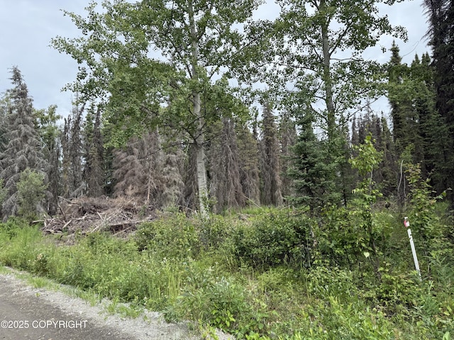 34076 Humecky Cir, Soldotna, AK 99669 - photo 6