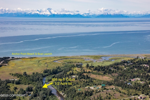 73842 Cuffel Ditton Rd, Anchor Point, AK 99556 - photo 1