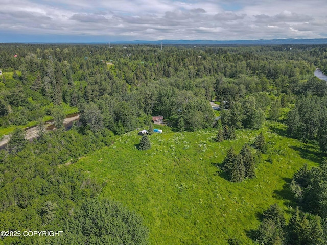 73842 Cuffel Ditton Rd, Anchor Point, AK 99556 - photo 5