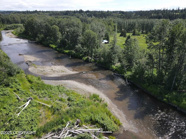 73842 Cuffel Ditton Rd, Anchor Point, AK 99556 - photo 4