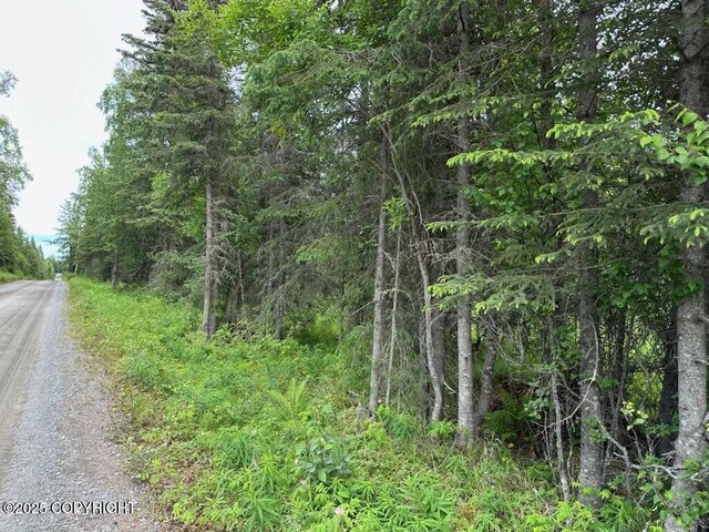 000 Cassidy Dr, Kasilof, AK 99610 - photo 2