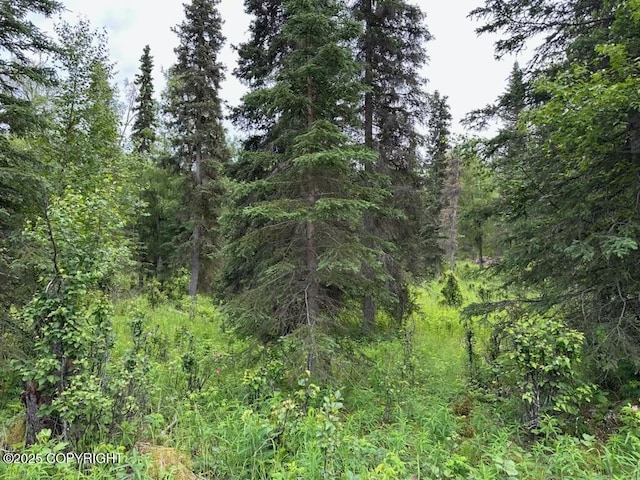 000 Cassidy Dr, Kasilof, AK 99610 - photo 4