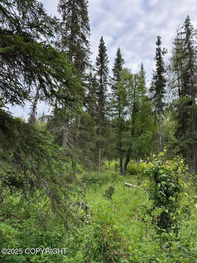 000 Cassidy Dr, Kasilof, AK 99610 - photo 1