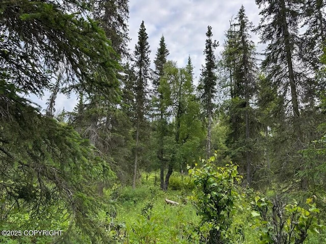 000 Cassidy Dr, Kasilof, AK 99610 - photo 5