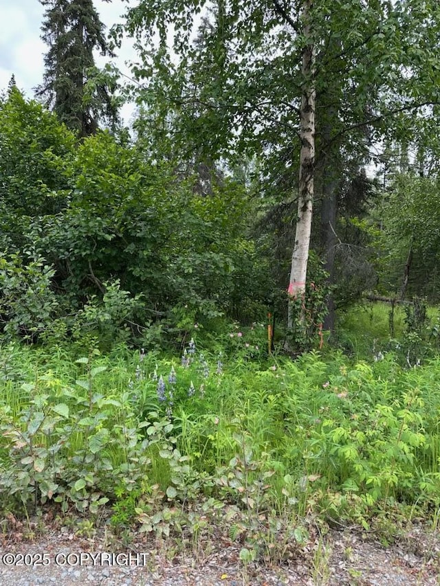 000 Cassidy Dr, Kasilof, AK 99610 - photo 6