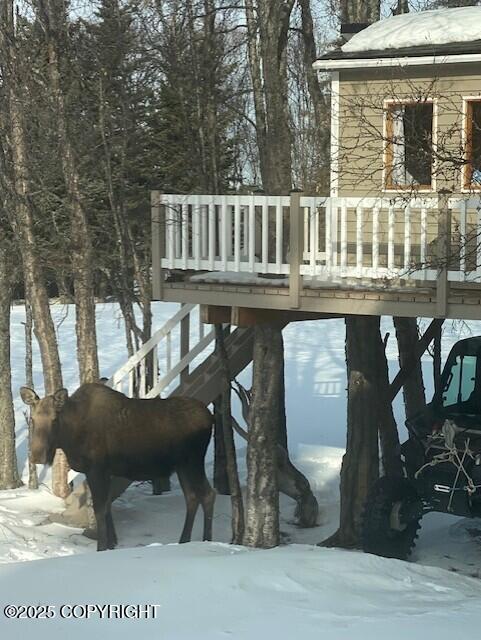 44055 Stipend Cir, Kenai, AK 99611 - photo 34