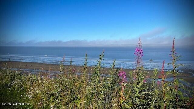44055 Stipend Cir, Kenai, AK 99611 - photo 51
