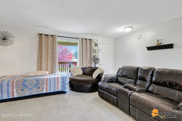 7250 Cantonment Ct, Anchorage, AK 99507 - photo 6