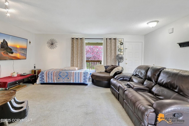 7250 Cantonment Ct, Anchorage, AK 99507 - photo 10