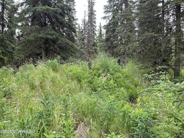 54668 Cohoe Lake Dr, Kasilof, AK 99610 - photo 19