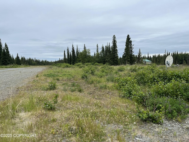 54668 Cohoe Lake Dr, Kasilof, AK 99610 - photo 21