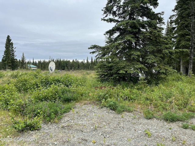 54668 Cohoe Lake Dr, Kasilof, AK 99610 - photo 22