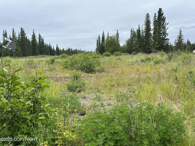 54668 Cohoe Lake Dr, Kasilof, AK 99610 - photo 23