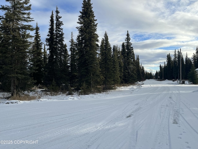 54668 Cohoe Lake Dr, Kasilof, AK 99610 - photo 34