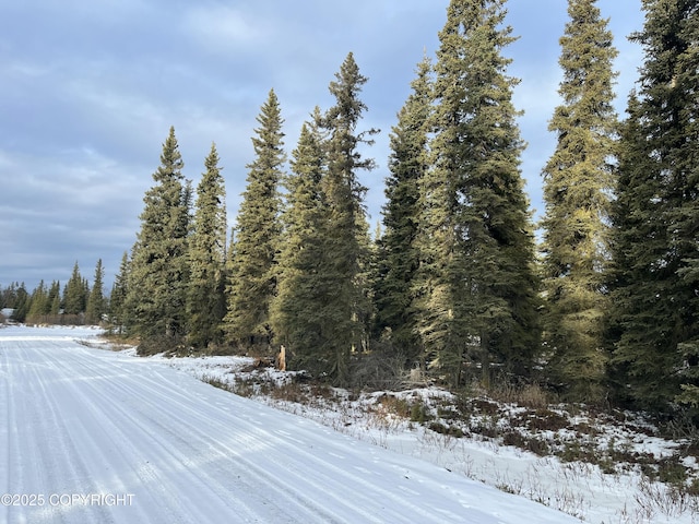 54668 Cohoe Lake Dr, Kasilof, AK 99610 - photo 35