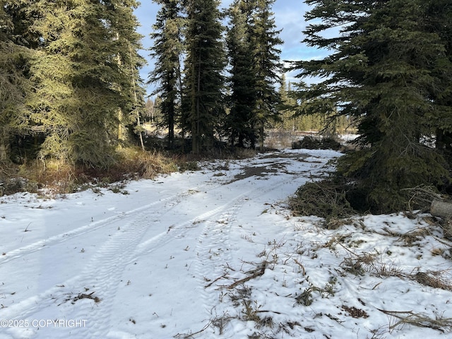 54668 Cohoe Lake Dr, Kasilof, AK 99610 - photo 36
