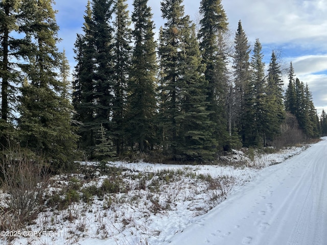 54668 Cohoe Lake Dr, Kasilof, AK 99610 - photo 37