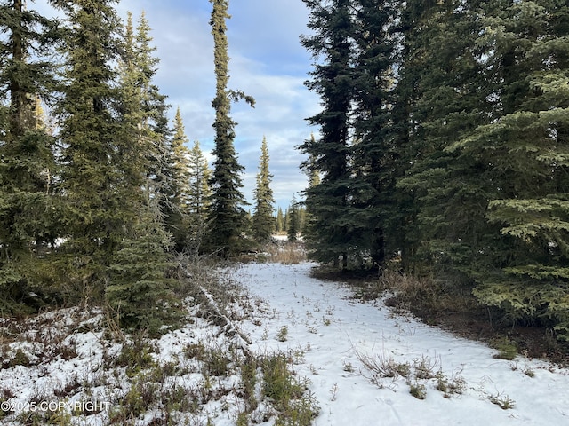 54668 Cohoe Lake Dr, Kasilof, AK 99610 - photo 38
