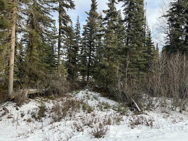 54668 Cohoe Lake Dr, Kasilof, AK 99610 - photo 39