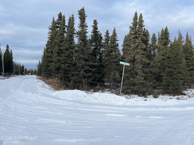 54668 Cohoe Lake Dr, Kasilof, AK 99610 - photo 40