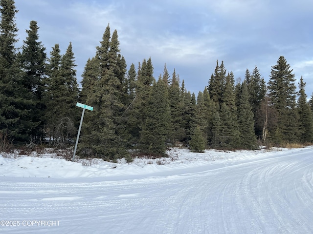 54668 Cohoe Lake Dr, Kasilof, AK 99610 - photo 41
