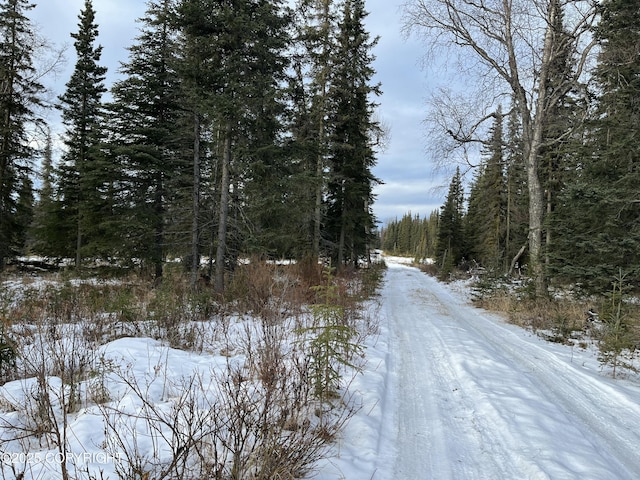 54668 Cohoe Lake Dr, Kasilof, AK 99610 - photo 42