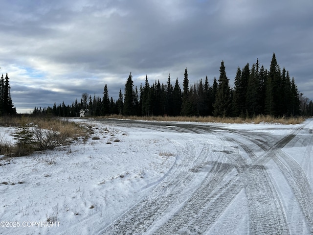 54668 Cohoe Lake Dr, Kasilof, AK 99610 - photo 43