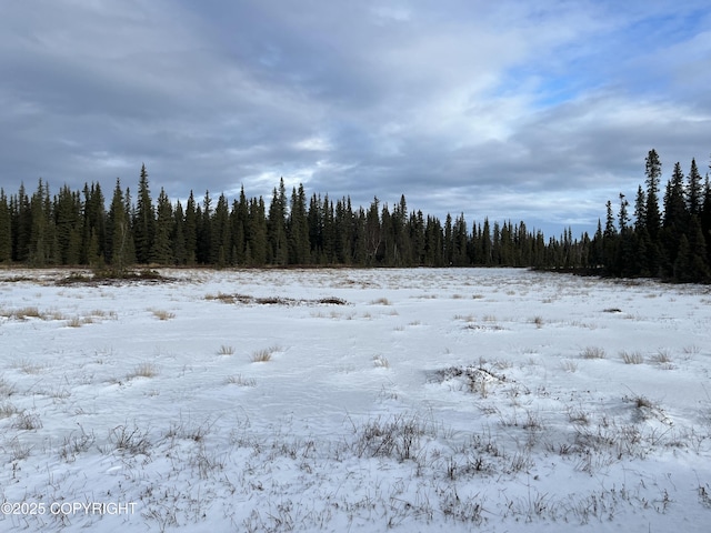 54668 Cohoe Lake Dr, Kasilof, AK 99610 - photo 45