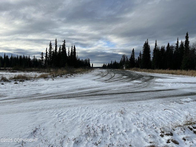 54668 Cohoe Lake Dr, Kasilof, AK 99610 - photo 46