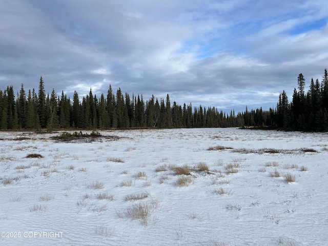 54668 Cohoe Lake Dr, Kasilof, AK 99610 - photo 48