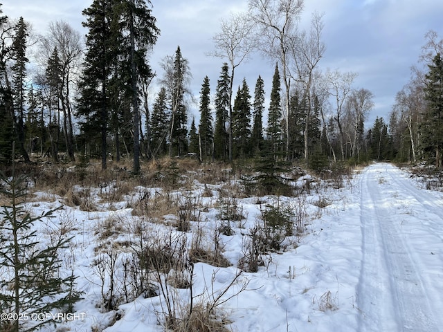 54668 Cohoe Lake Dr, Kasilof, AK 99610 - photo 50