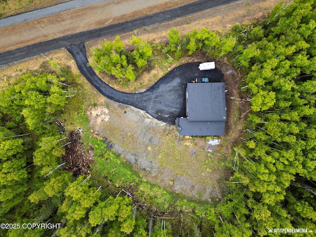 9904 W Aircraft Ct, Wasilla, AK 99623 - photo 45